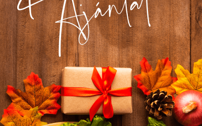 Karácsonyi Ajánlatunk